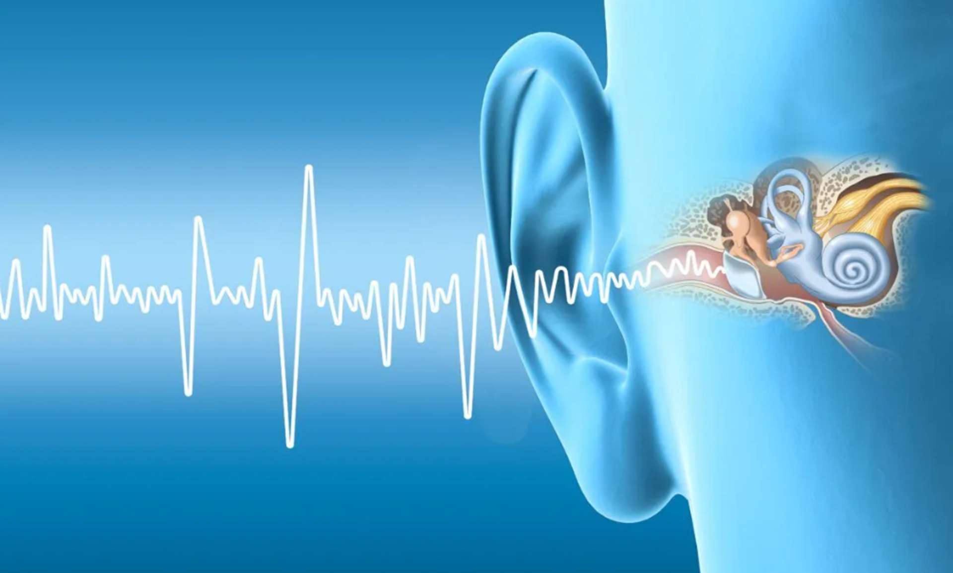  گروه آموزشی شنوایی شناسی دانشگاه علوم توانبخشی و سلامت اجتماعی